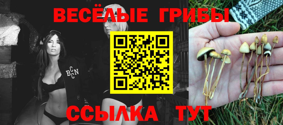 Галлюциногенные грибы мицелий Узловая