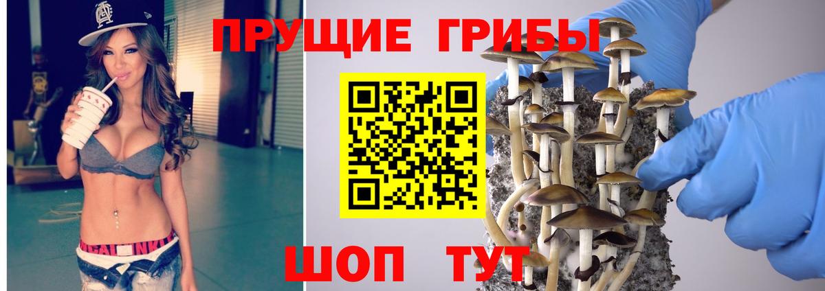 Галлюциногенные грибы мицелий  продажа наркотиков  Узловая  Вход с VPN  Псилоцибиновые грибы GOLDEN TEACHER 