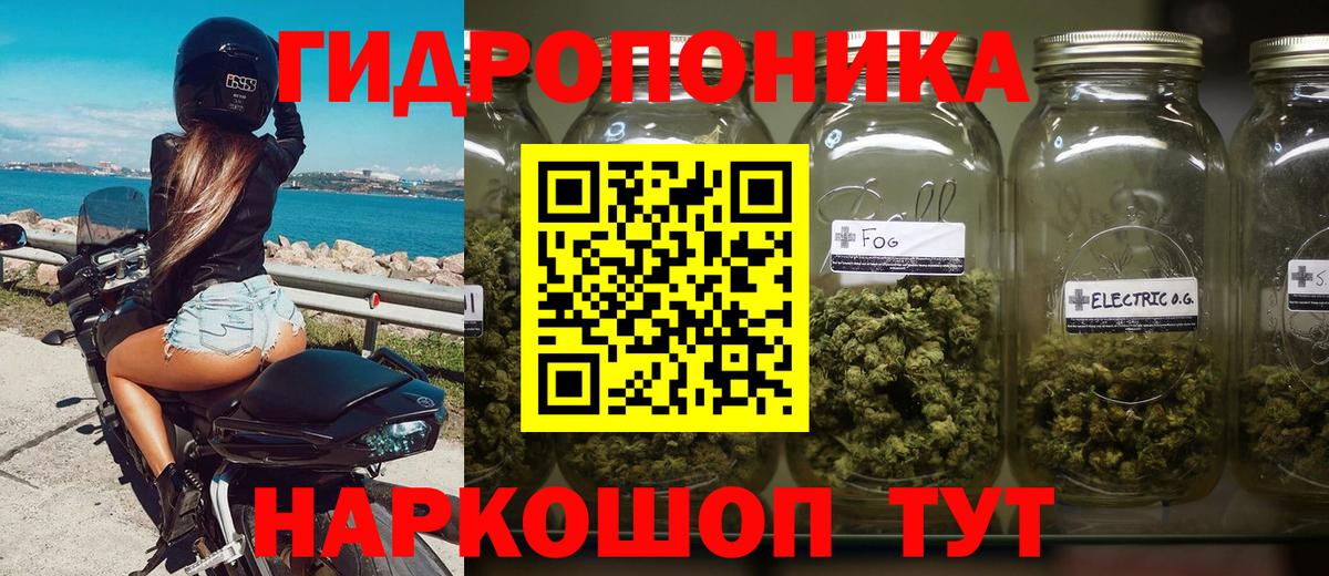 Конопля MAZAR  Конопля гибрид  Вход с VPN  Узловая 